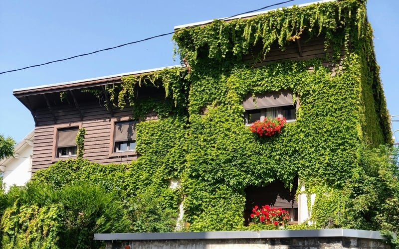 The Great Green Building Makeover