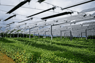 Exploring the innovations in photovoltaic panels and energy storage for agrivoltaic systems