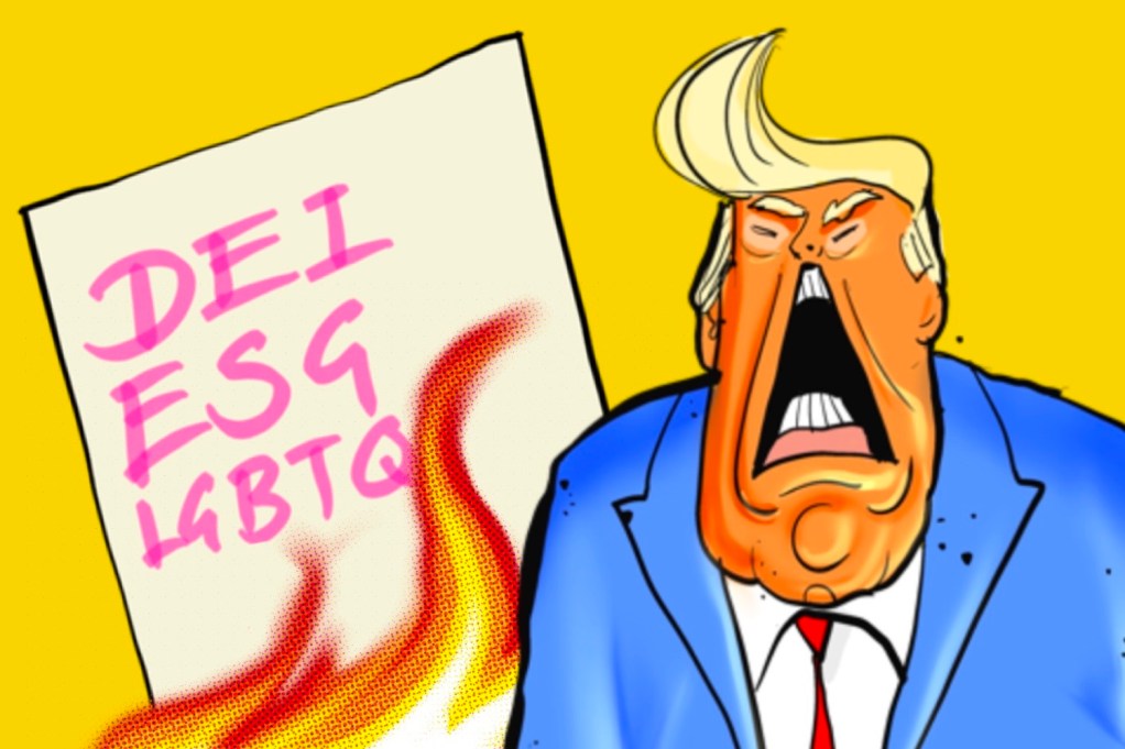 No more DEI or ESG: alphabet soup is off the menu in Trump’s USA