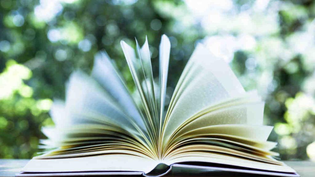 The Ethical Investor: New ESG rules in 2025 force ASX firms to reveal their climate game plan