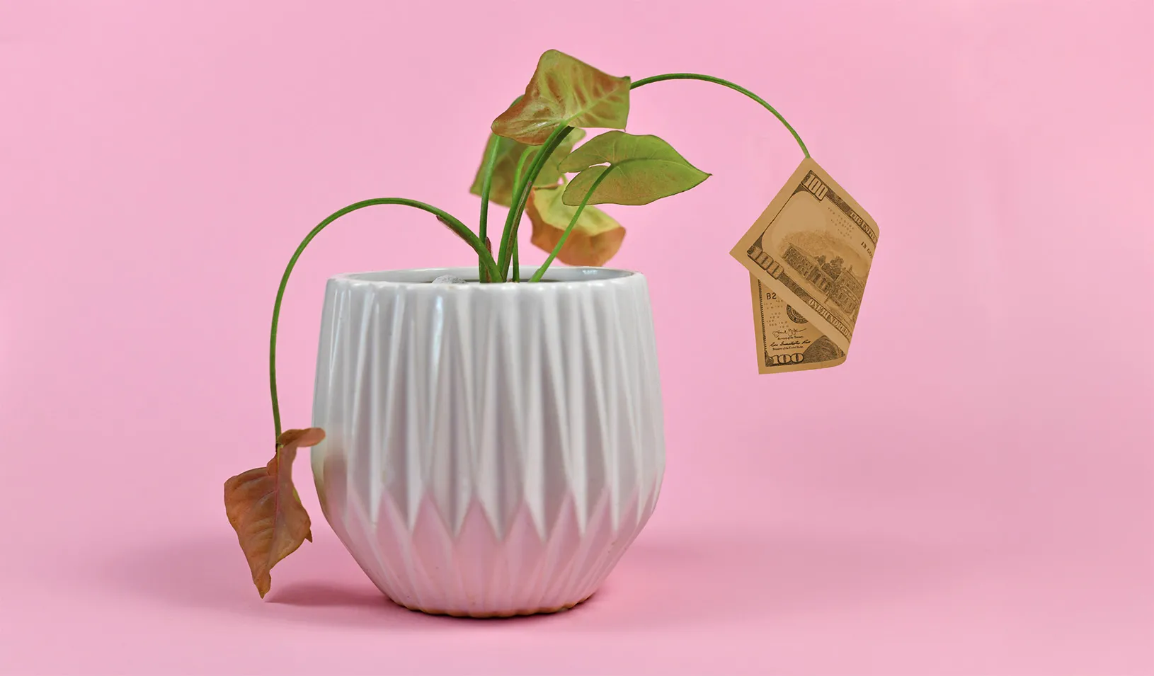 Young Investors’ Support for ESG Dropped Dramatically in 2024