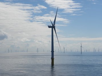 Trump blocks renewable energy approvals on federal lands and waters