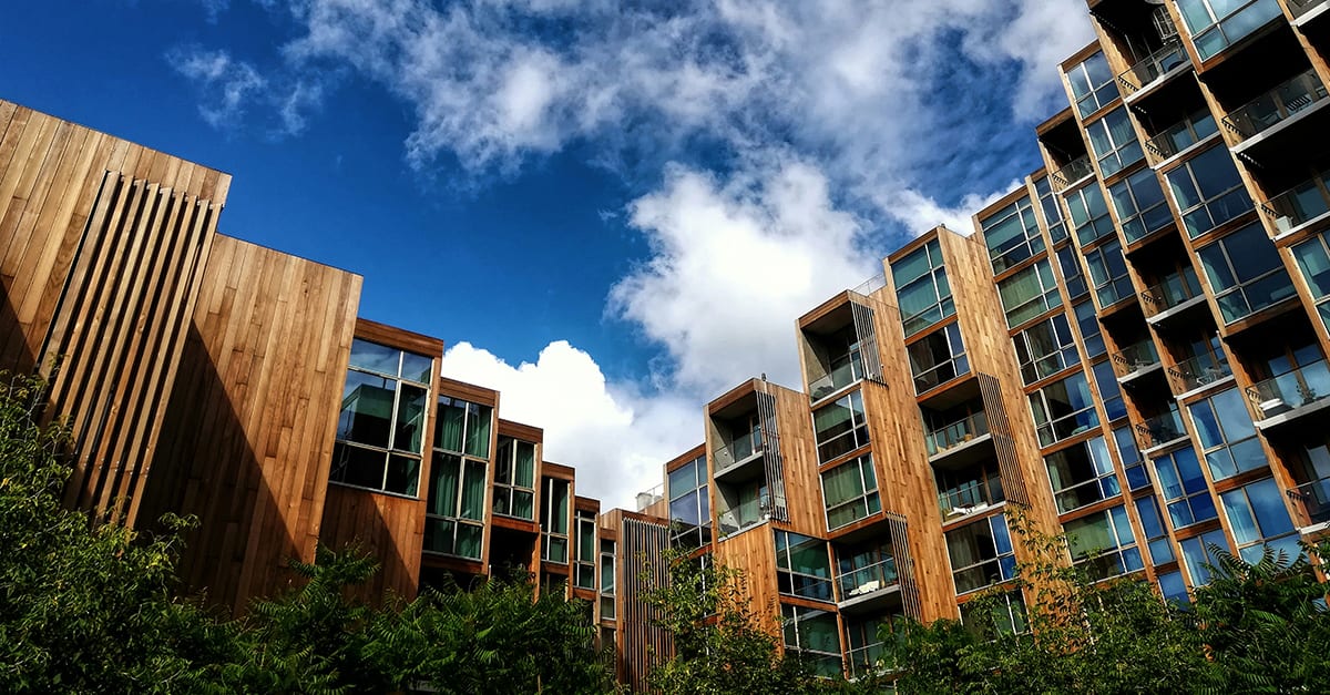 Building green: how engineered wood is transforming sustainable architecture