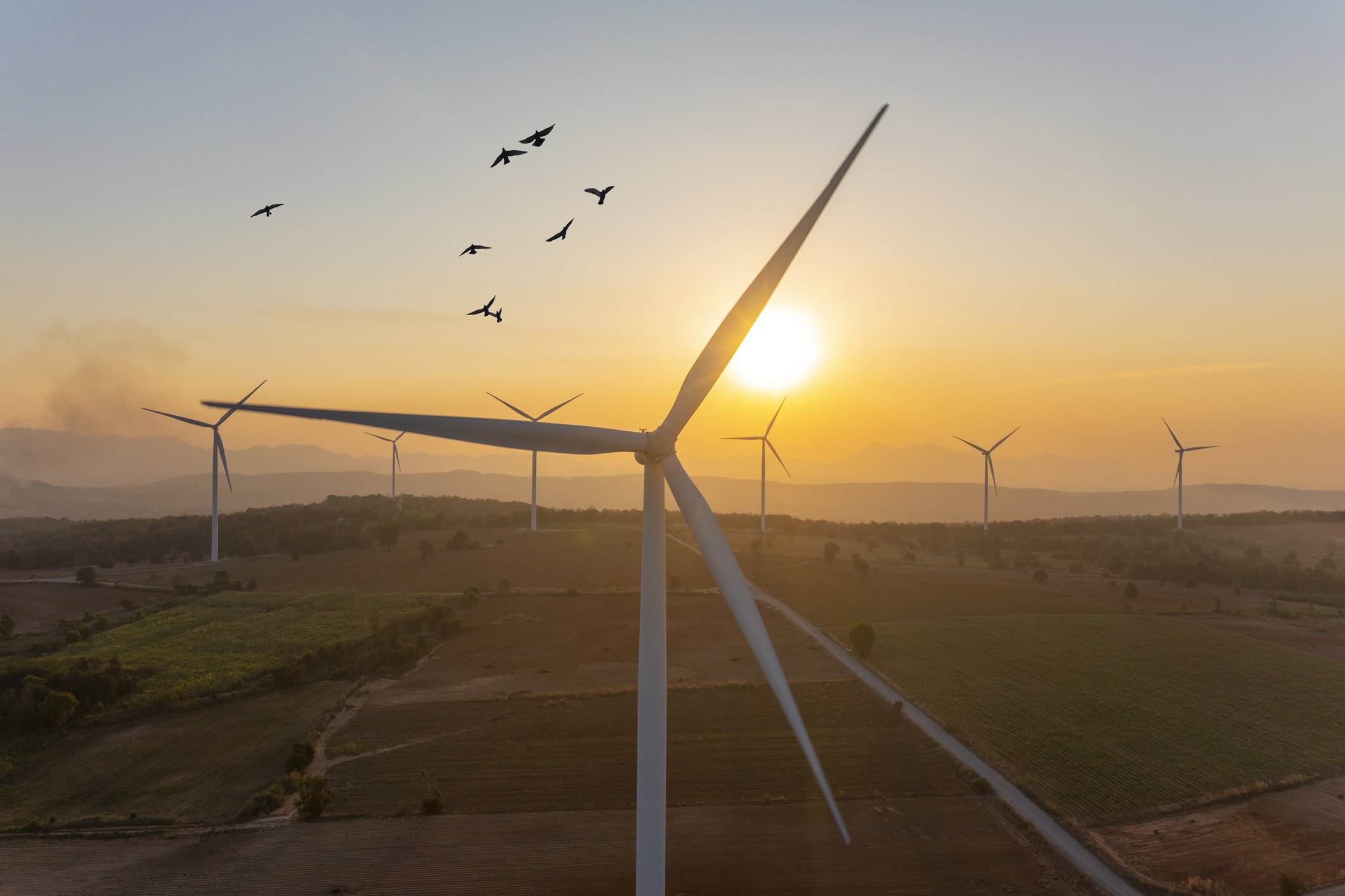 Amazon bought more renewable power last year than any other company