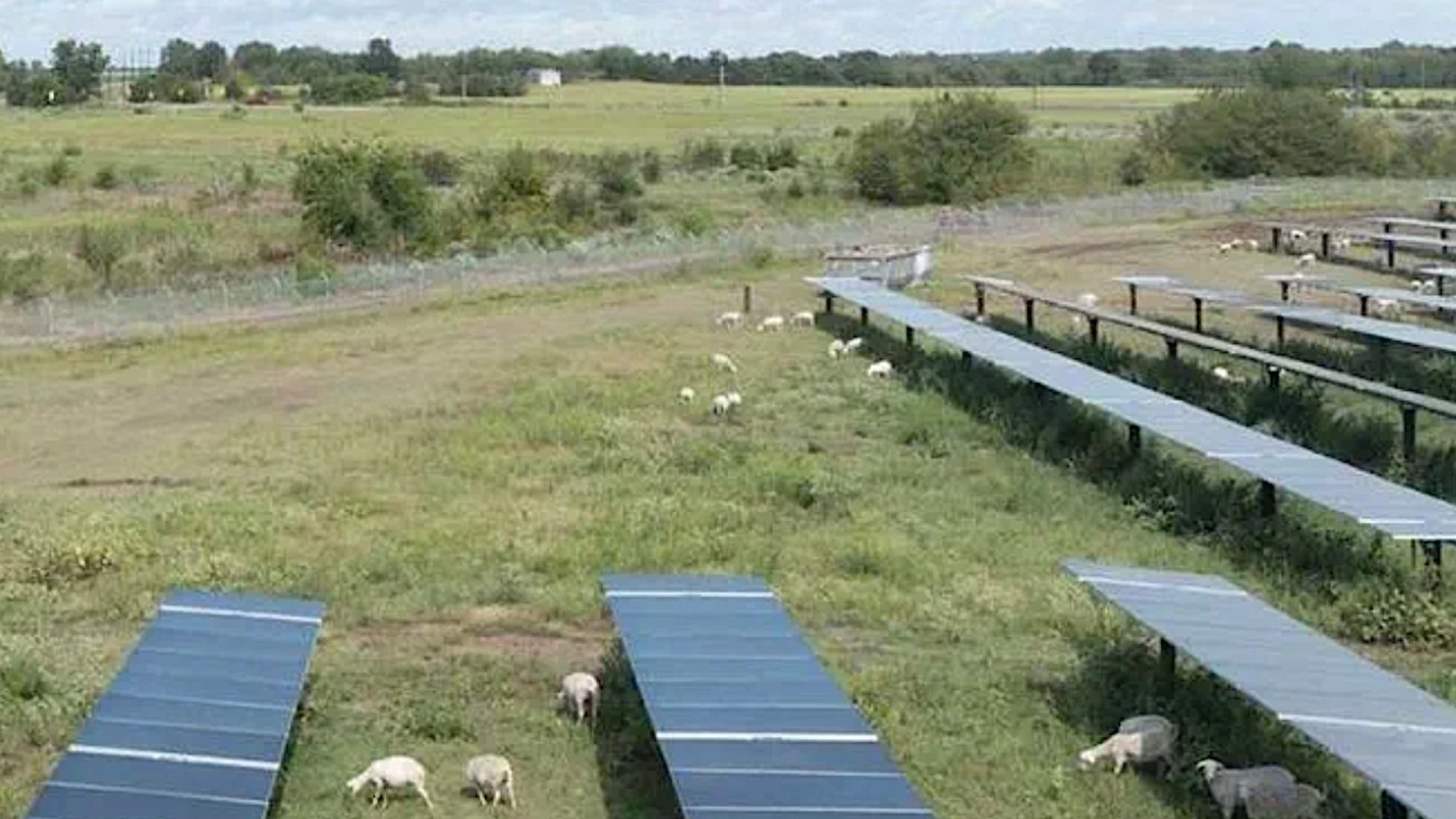 Energy giant makes massive land donation after completing its largest solar project yet — here's how it will help Texas residents