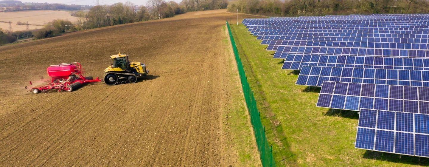 The Future of Solar: Can Crops and Solar Panels Coexist?