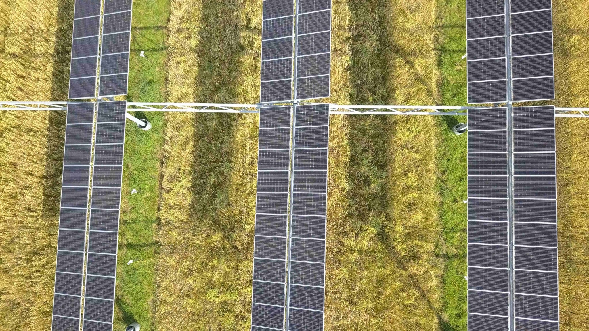 Will solar panels overrun farmland? The two are more likely to coexist