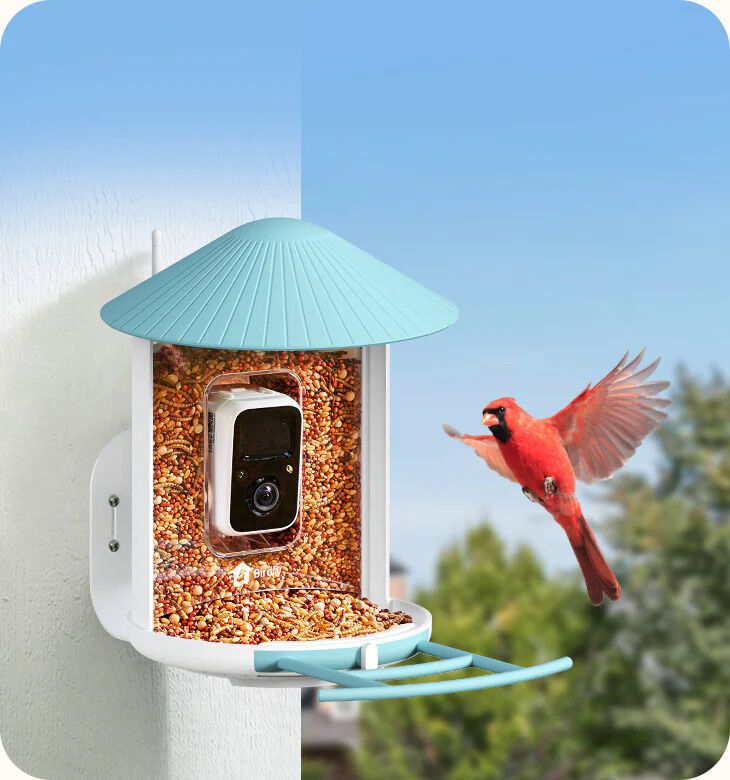 Next-Generation Bird Feeders