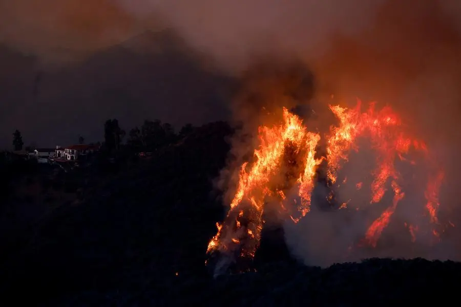 Politics, not climate, to drive sustainable finance trends in 2025