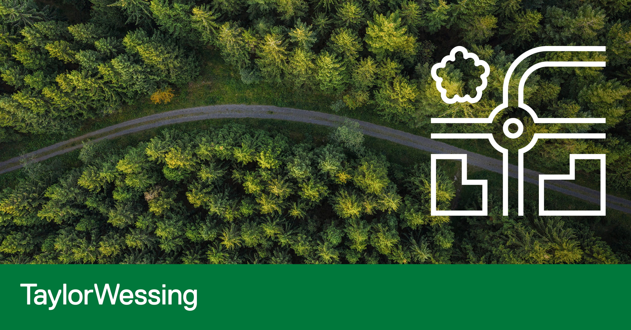 The challenges of green branding