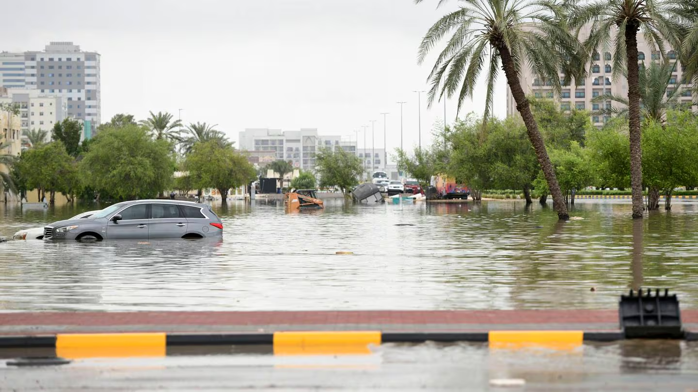 Solar Panels on Big Denver Buildings Throw Shade That Helps Crops Grow — and the Plants Return the Favor