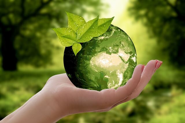 Sustainable Investing: What Is It and Why Is It Important?