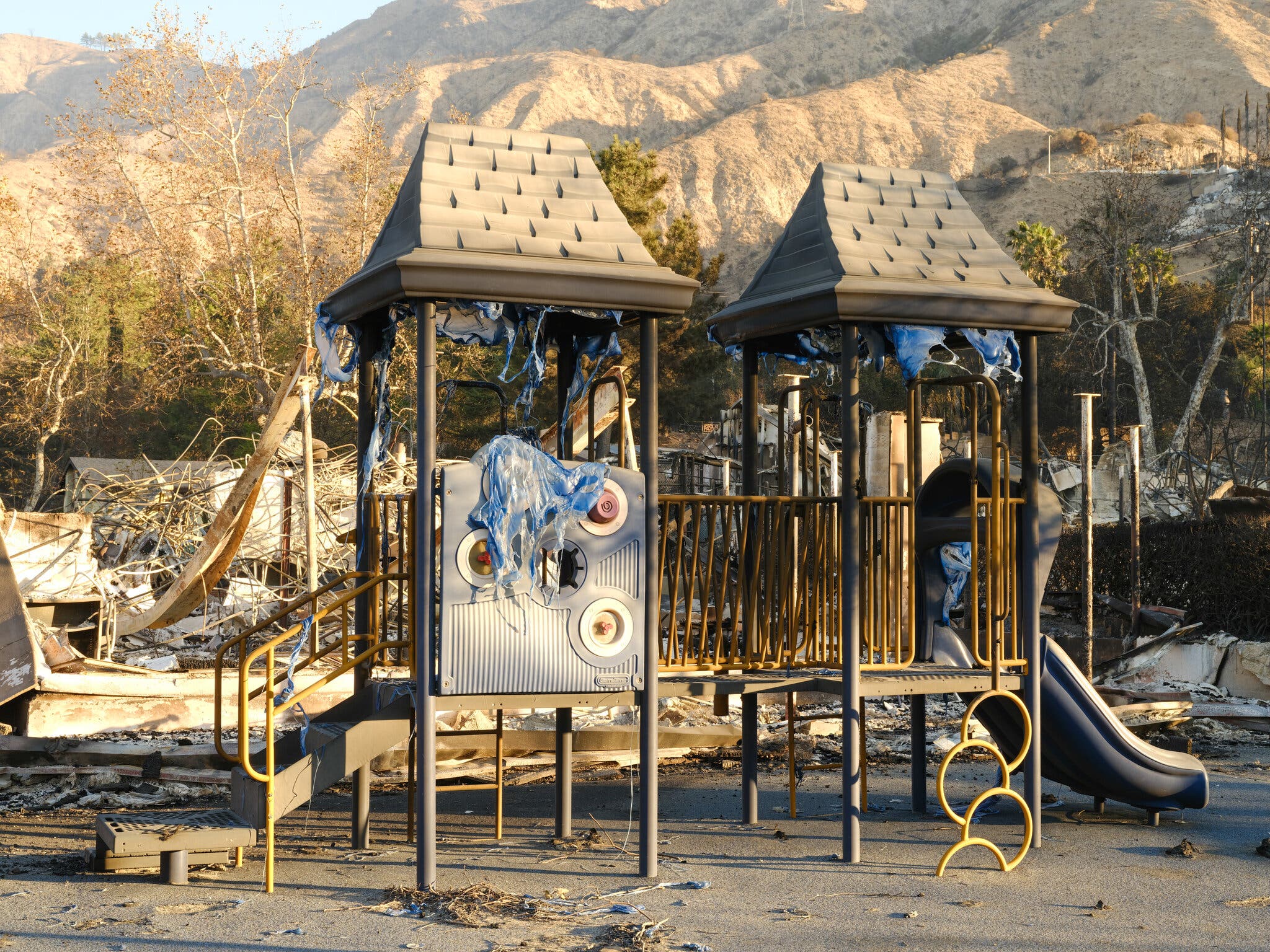 Trading Hope for Reality Helps Me Parent Through the Climate Crisis