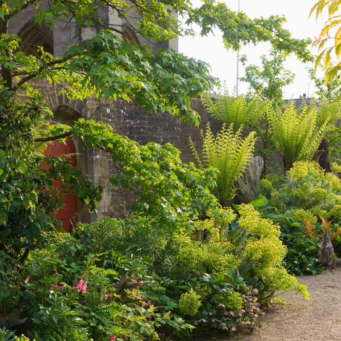 Why Every Garden Needs a Stumpery