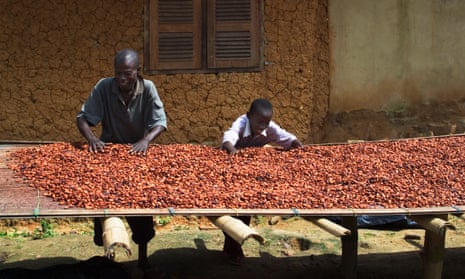 Climate crisis contributing to chocolate market meltdown, research finds
