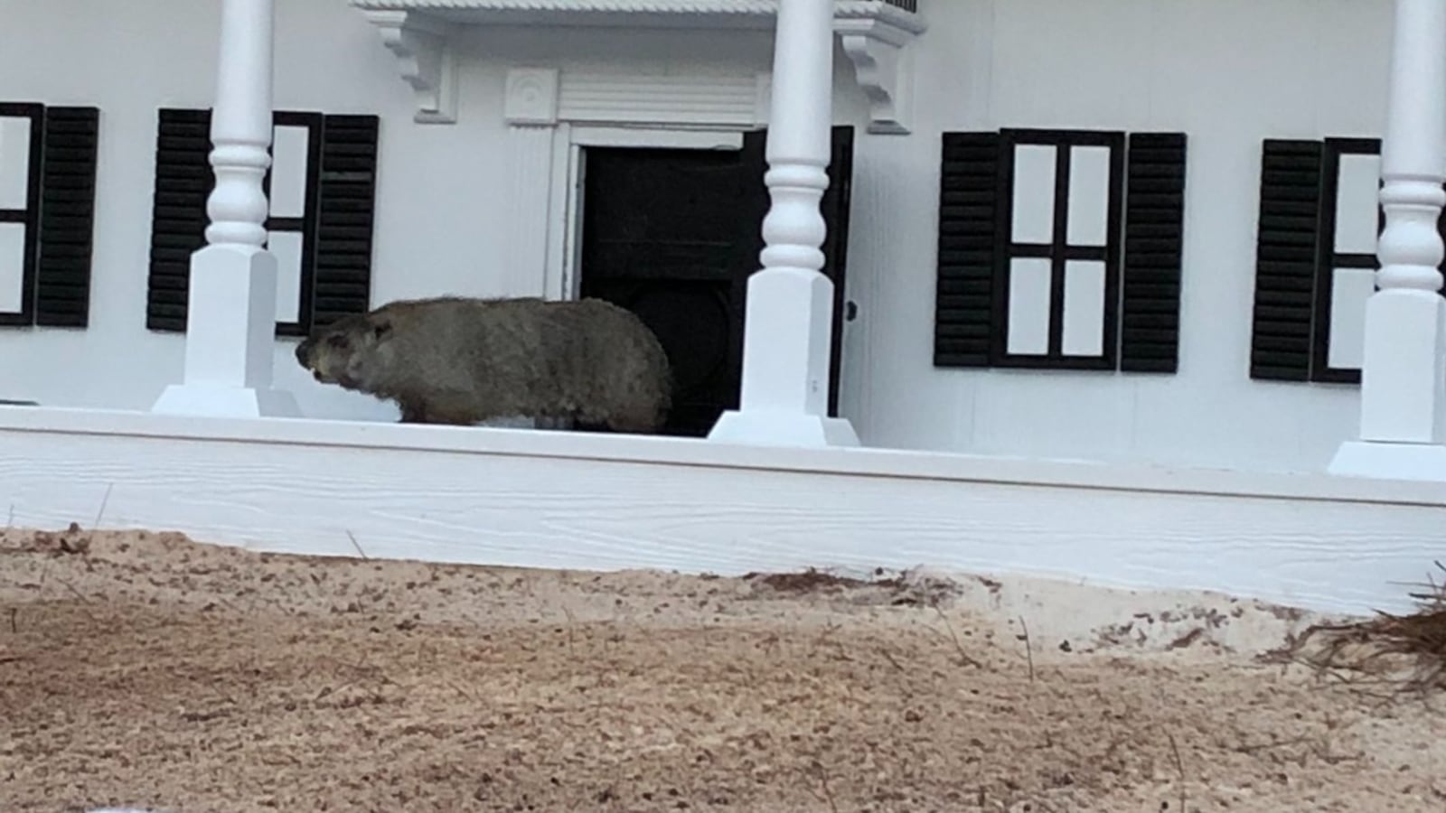 Georgia Power wants to keep coal plants alive to meet demand