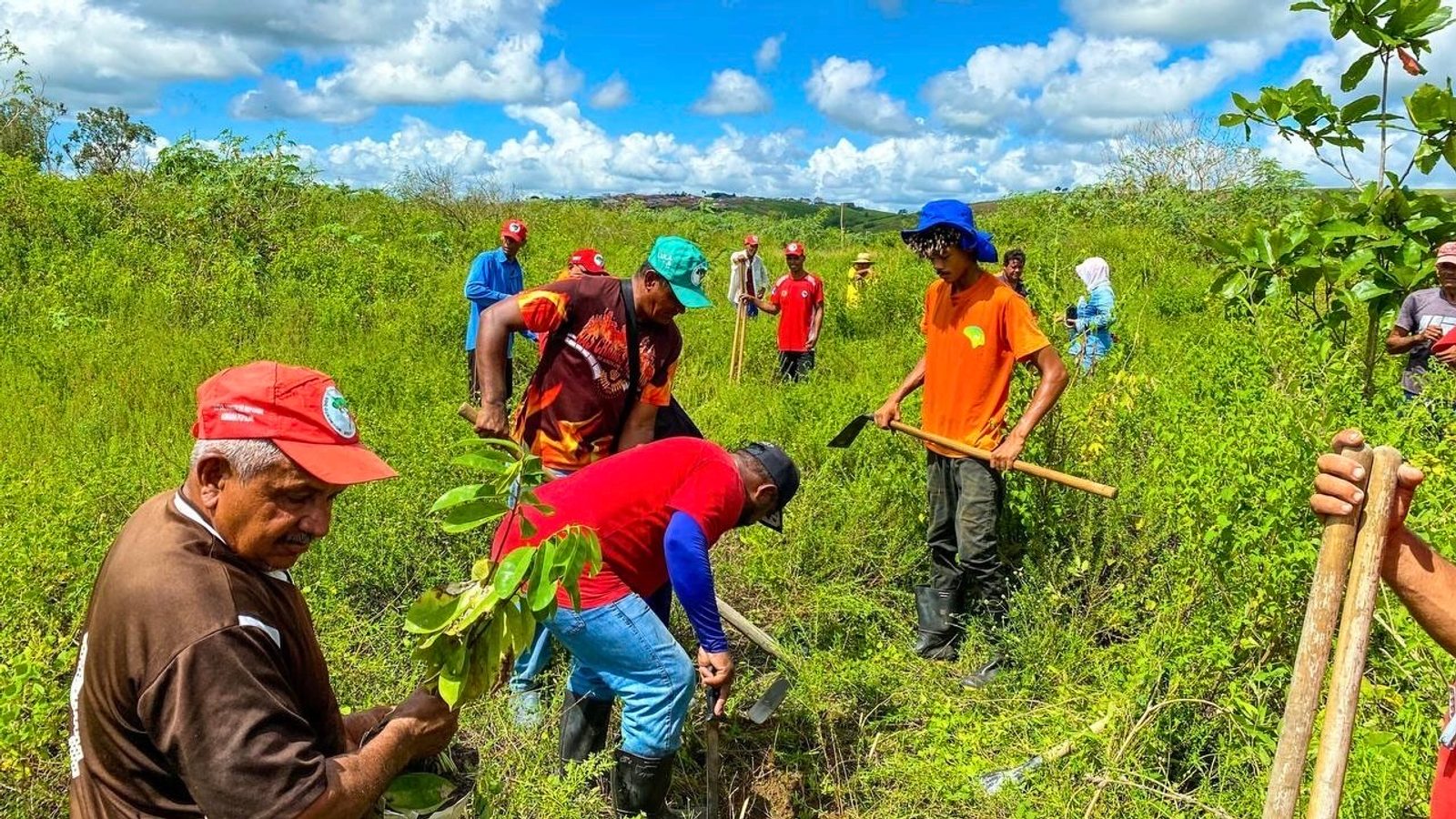 Betrayed by Green Capitalism, Here’s How We Can Build a Livable Future