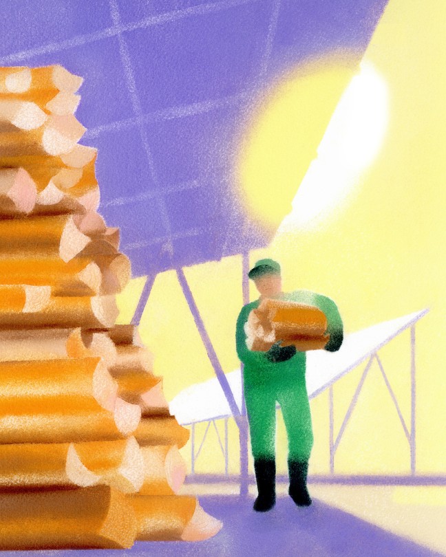 Sun and Wood Can Be a Powerful Combination