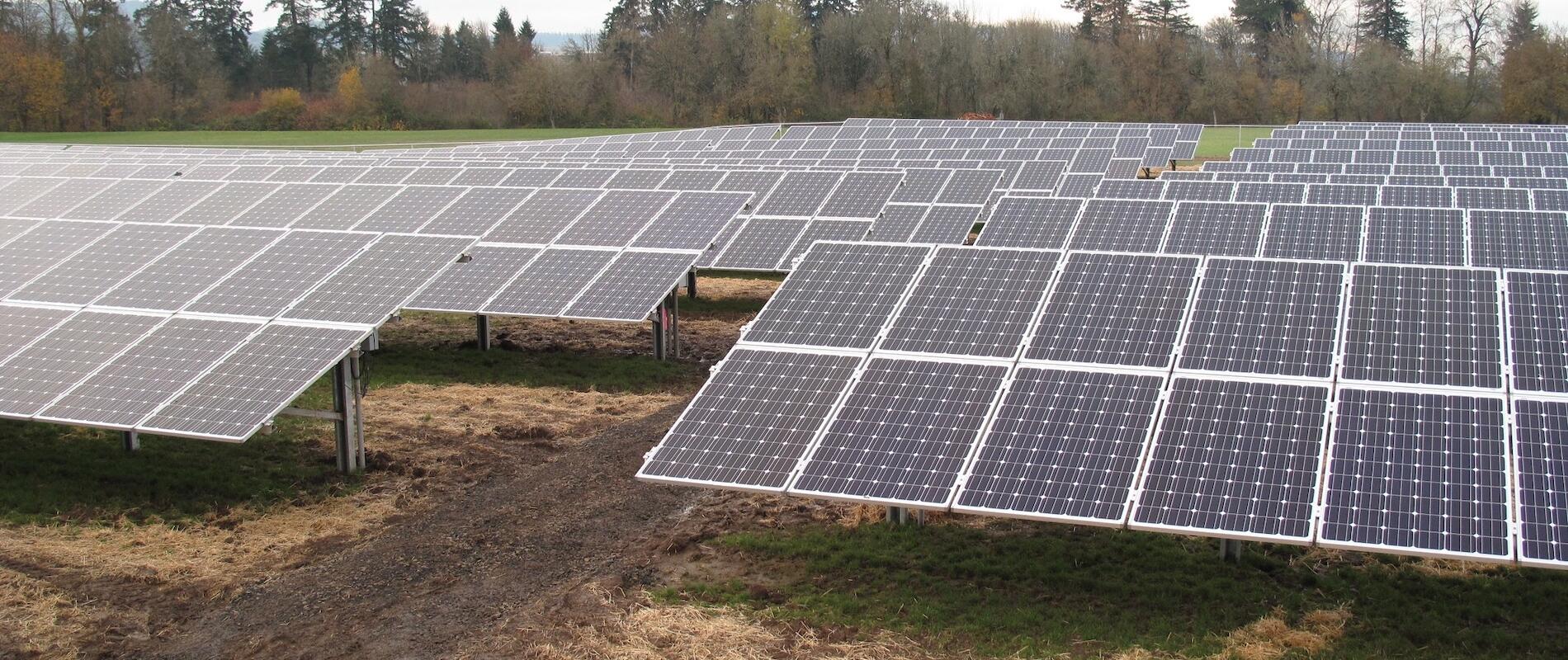 New greenhouse gas report shows OSU reduced overall emissions in 2024