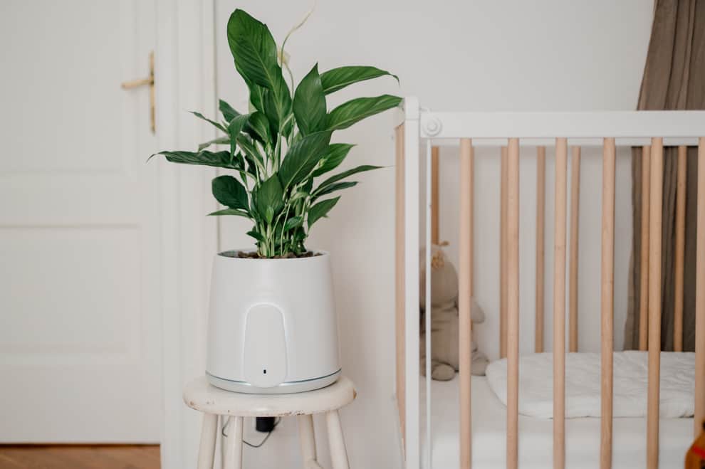 Smart Home News 5 We test a smart plant pot that purifies the air in your house