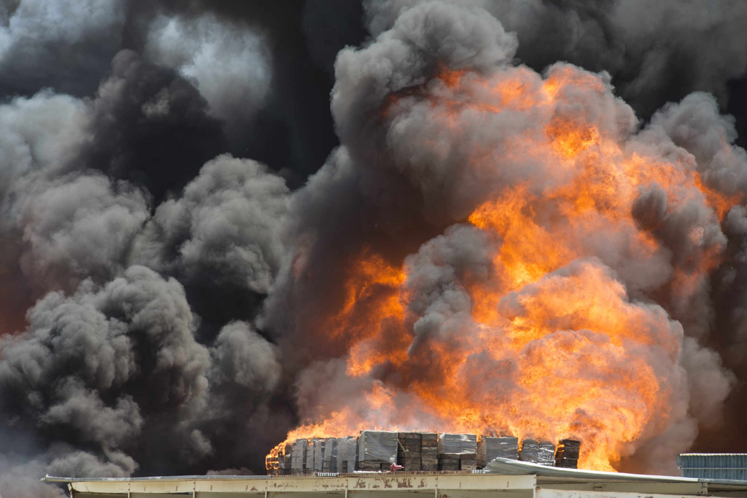 Green Building News 2 Bill McKibben on the billionaire conspiracy to kill green energy