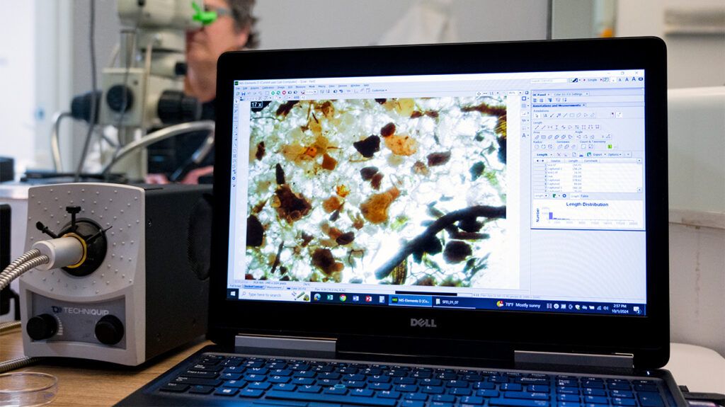 Eco Friendly News 6 Microplastics in the brain: How can we avoid exposure?