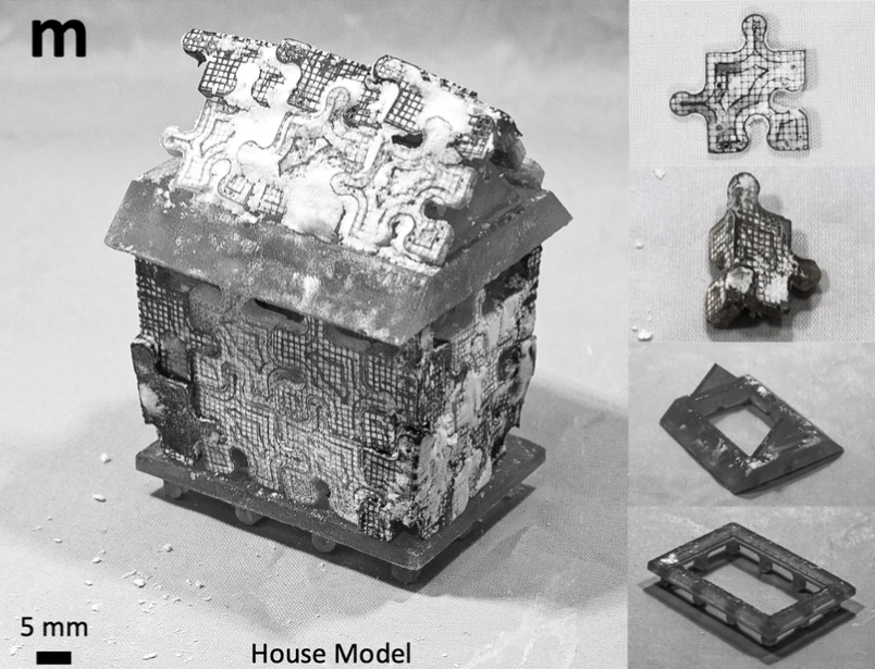Green Building News 6 Coral-inspired technology turns atmospheric CO₂ into durable, fireproof building materials