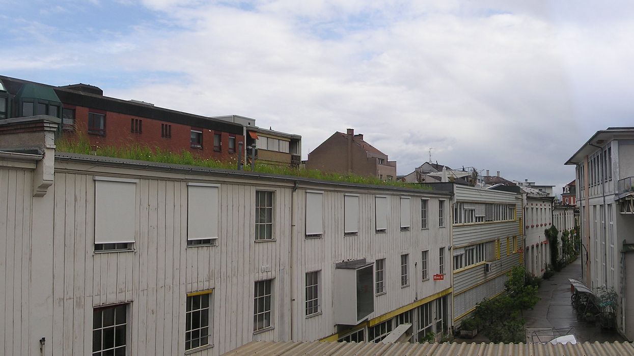 Green Building News 1 Basel’s green roof revolution is creating a thriving urban ecosystem
