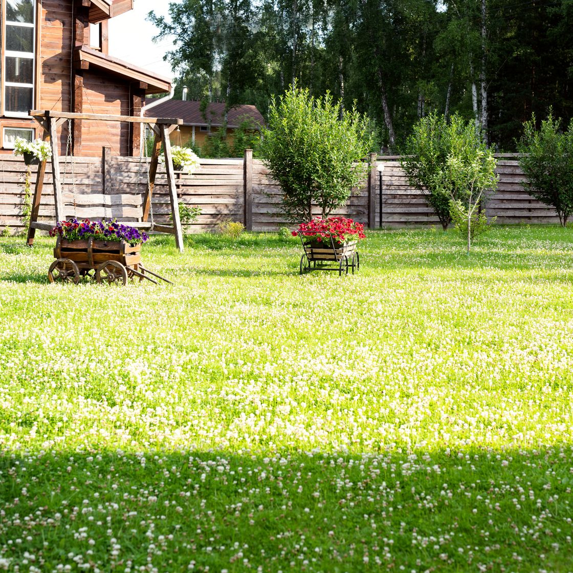 Eco Friendly News 1 The Low-Maintenance Yard Trend Homeowners Are Ditching Grass For