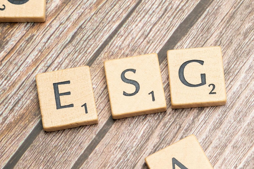 ESG News 2 The continuing relevance of ESG initiatives