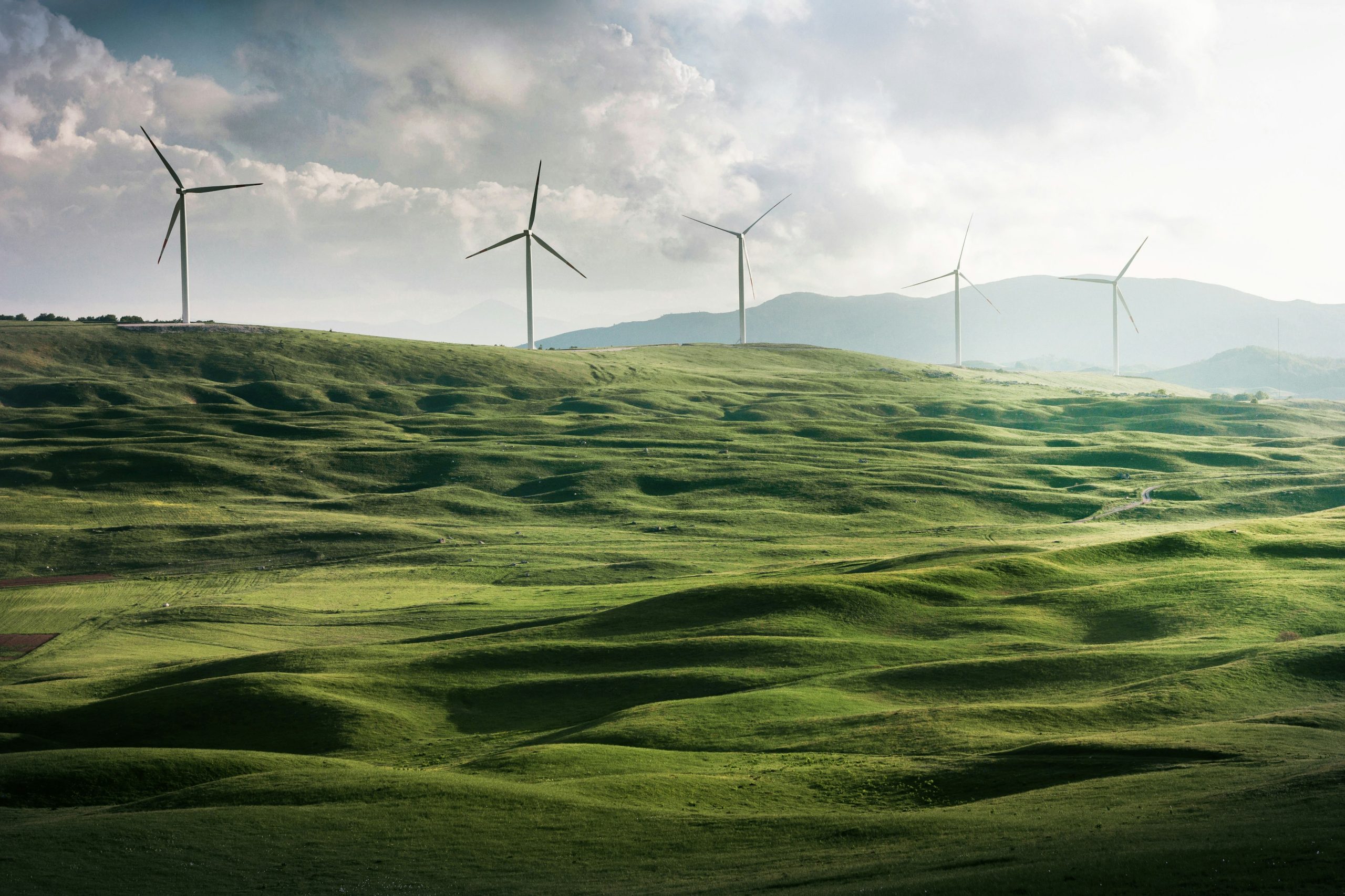 Green Building News 6 How Businesses Can Avoid Greenwashing in 2025