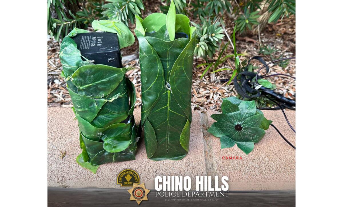 Smart Home News 5 Hidden camera found in home planter sparks concerns after recent home burglaries