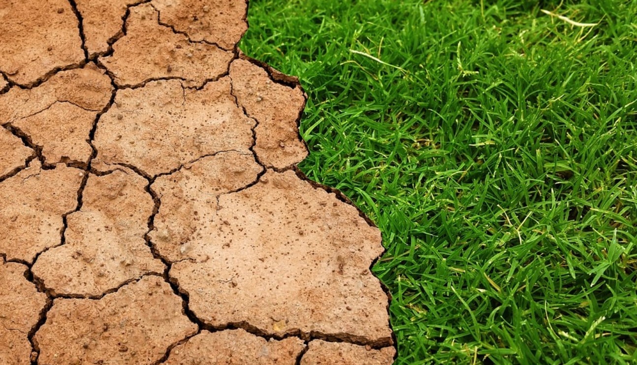 Climate Change News 4 Climate Change Could Lead To Human Respiratory Problems